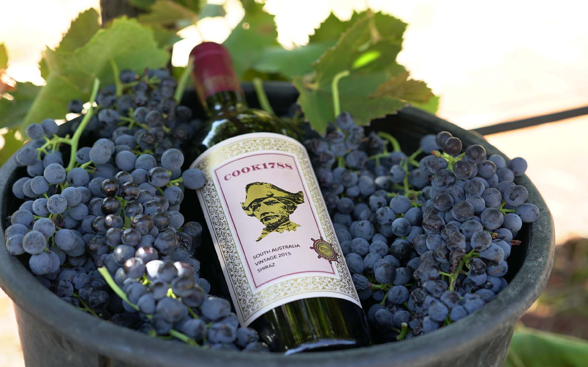 cook wine 1788